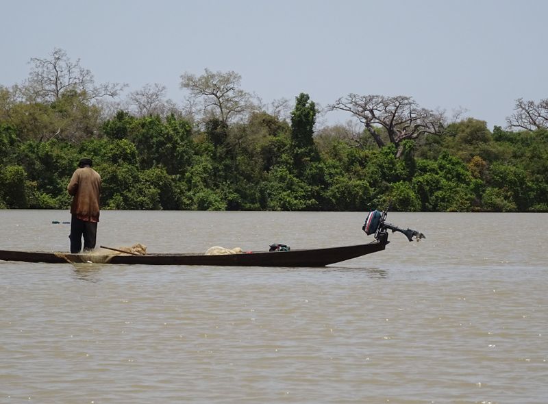 Gambia groepsreis rivier met visser Janjanburreh - Georgetown